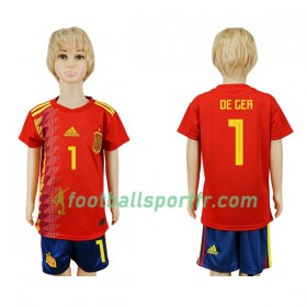 Tenue Espagne De Gea 1 Enfant Domicile Coupe du monde 2018 Maillot de Foot